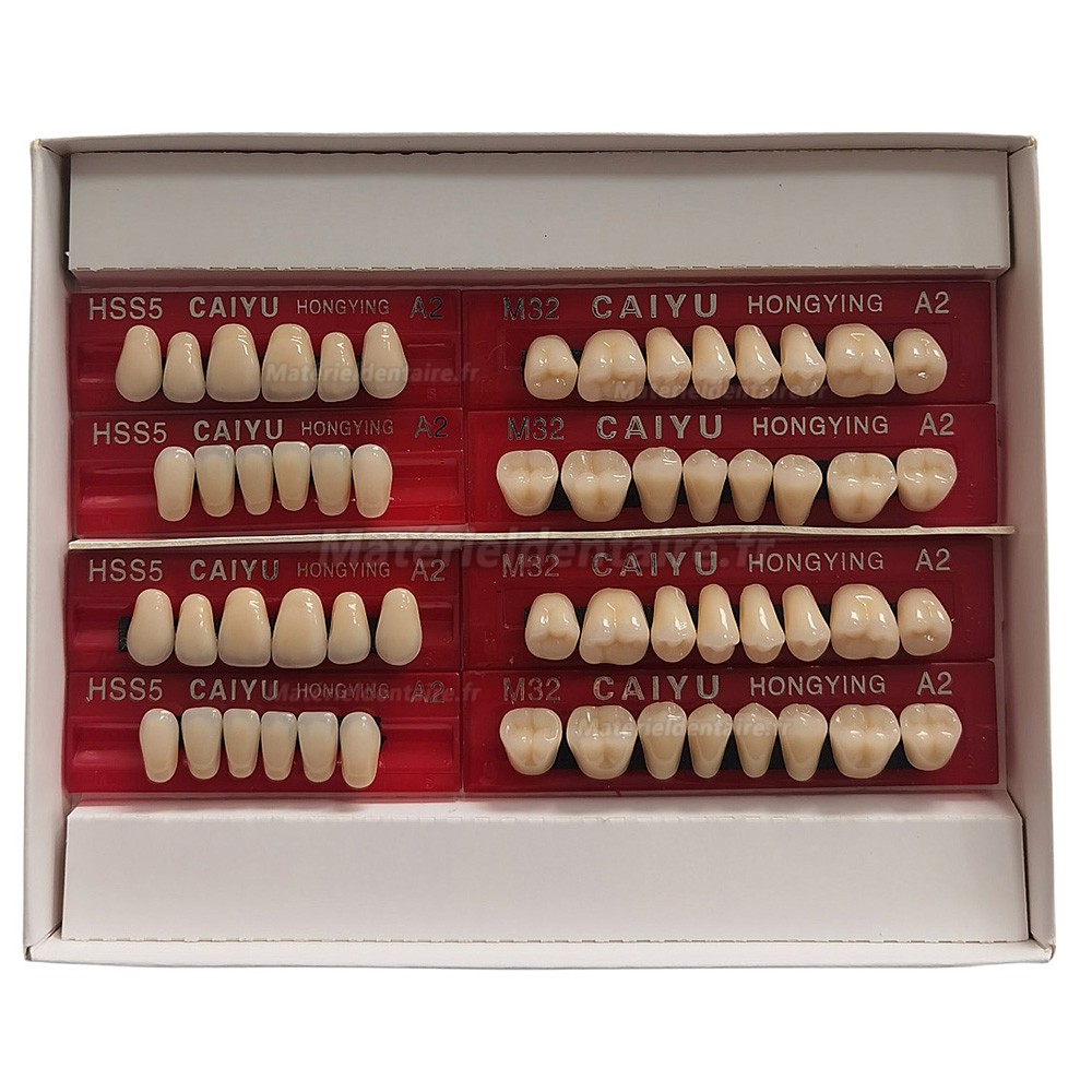 Prothèses dentaires en résine Caiyu Hongying (trois couches de couleur) A1/A2/A3/A3.5/A4